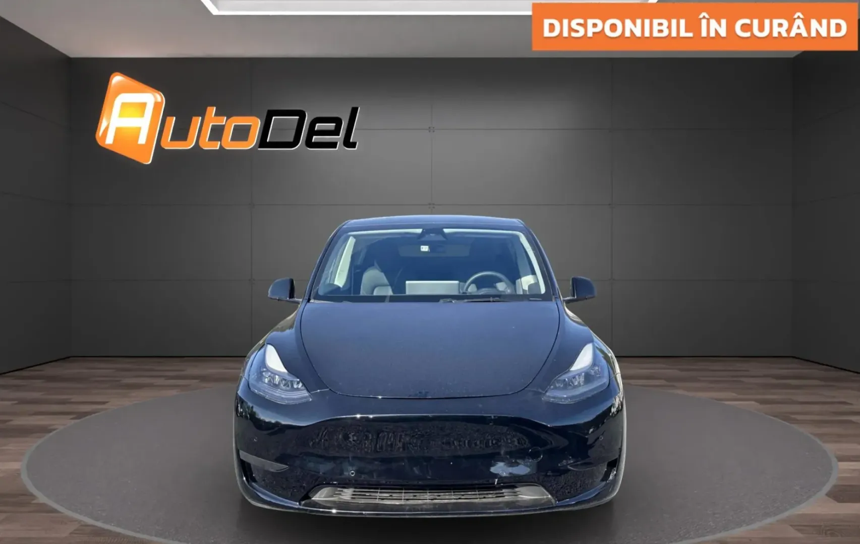 Tesla Model Y Nespecificat